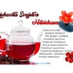 Ljekovita Svojstva Hibiskusa