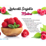 Ljekovita Svojstva “Maline”