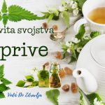 LJEKOVITA SVOJSTVA KOPRIVE…