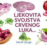 LJEKOVITA SVOJSTVA CRVENOG LUKA…