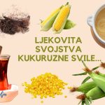 LJEKOVITA SVOJSTVA KUKURUZNE SVILE…