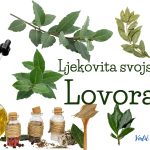 LJEKOVITA SVOJSTVA LOVORA…