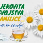 LJEKOVITA SVOJSTVA KAMILICE…