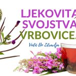 LJEKOVITA SVOJSTVA VRBOVICE….