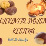 LJEKOVITA SVOJSTVA KESTENA…